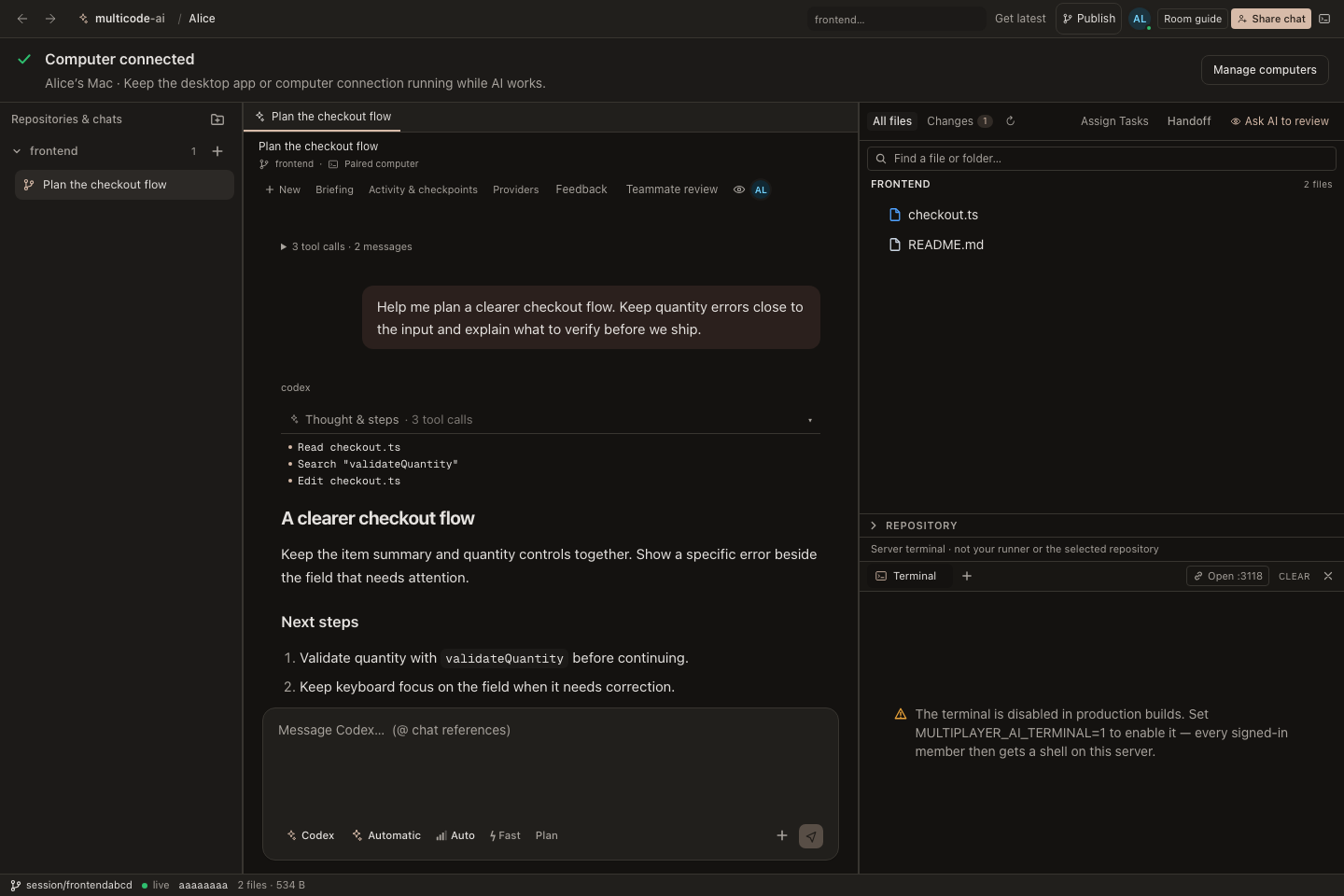 The terminal panel explaining that interactive shell access is unavailable on the hosted workspace.